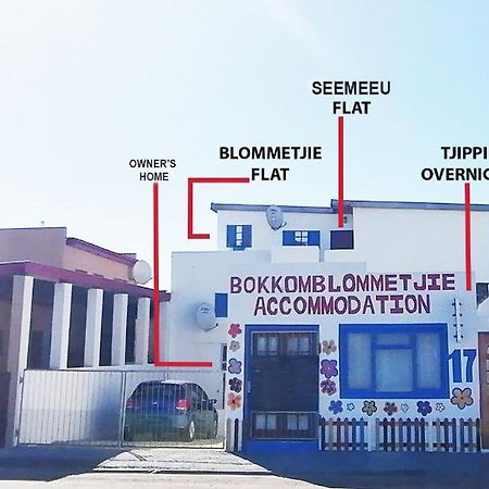 Bokkomblommetjie Lambertʼs Bay Εξωτερικό φωτογραφία